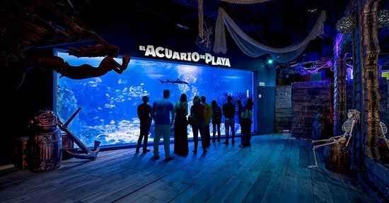 El Acuario de Playa